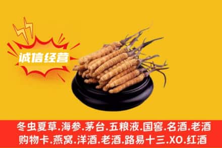 休宁县回收冬虫夏草